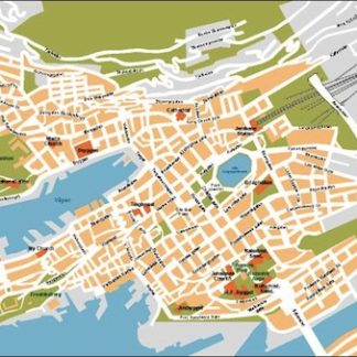 bergen vector map