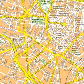 Montpellier vector map